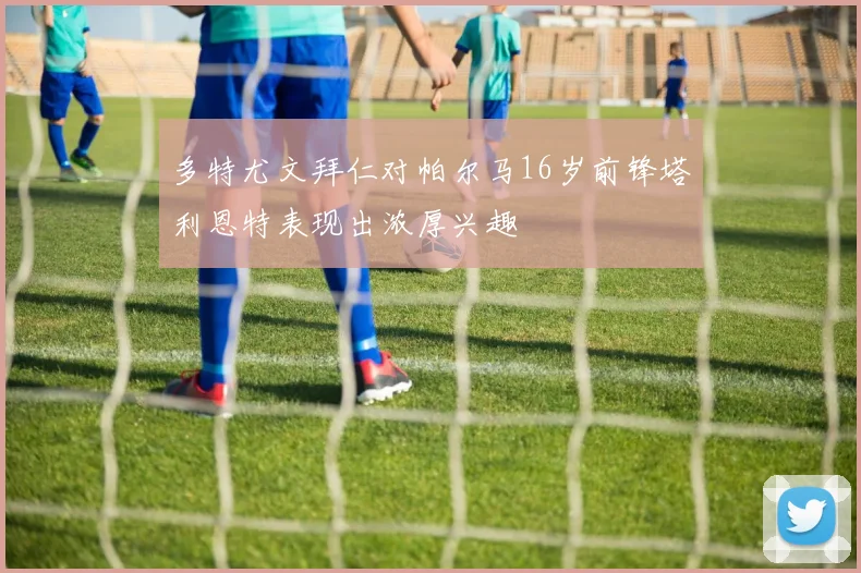 多特尤文拜仁对帕尔马16岁前锋塔利恩特表现出浓厚兴趣