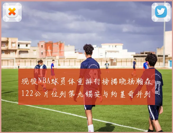 现役NBA球员体重排行榜揭晓杨瀚森122公斤位列第九锡安与约基奇并列第三
