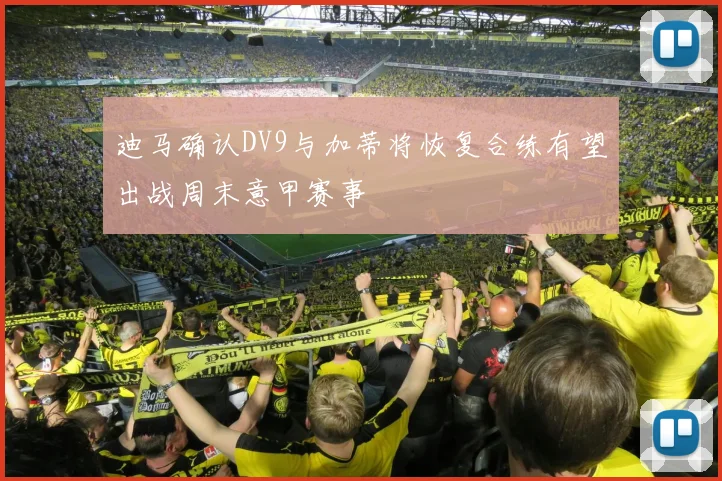 迪马确认DV9与加蒂将恢复合练有望出战周末意甲赛事