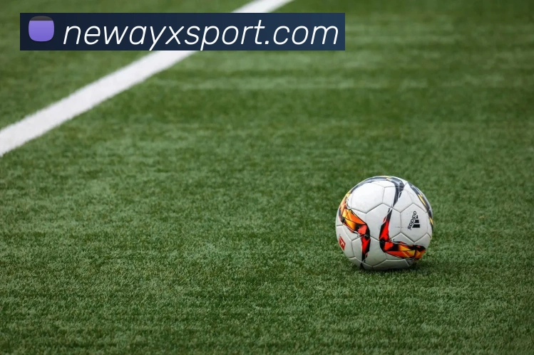 爱游戏体育服务体系